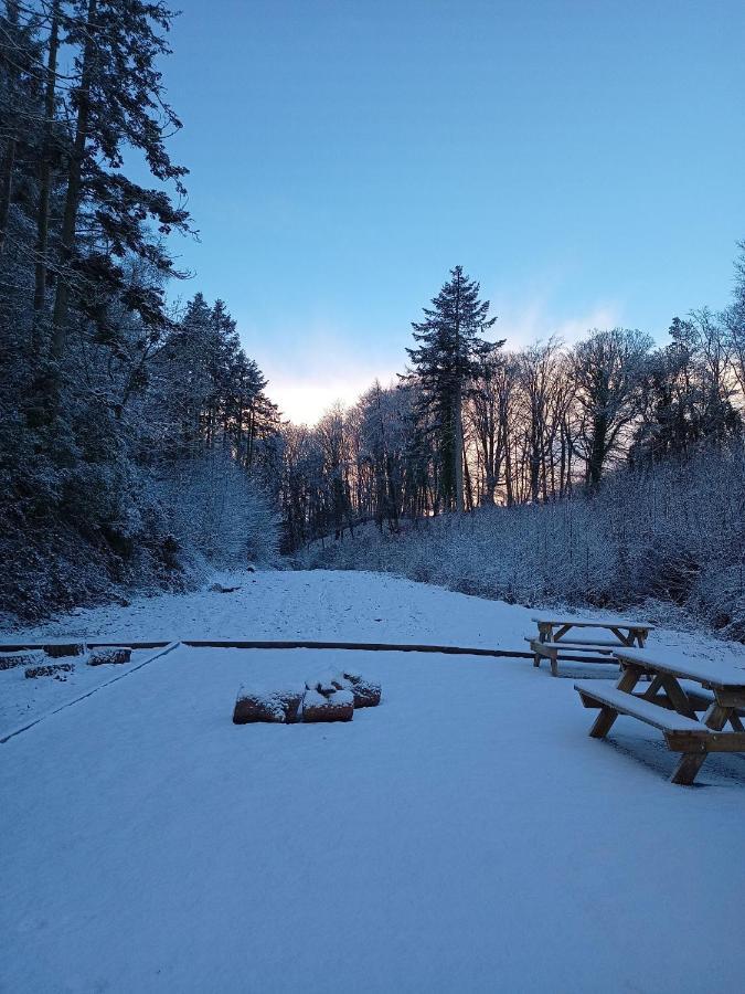 The West Wing At Eriviat Hall Hot Tub Henllan  外观 照片