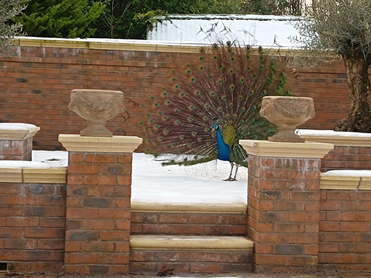 The West Wing At Eriviat Hall Hot Tub Henllan  外观 照片