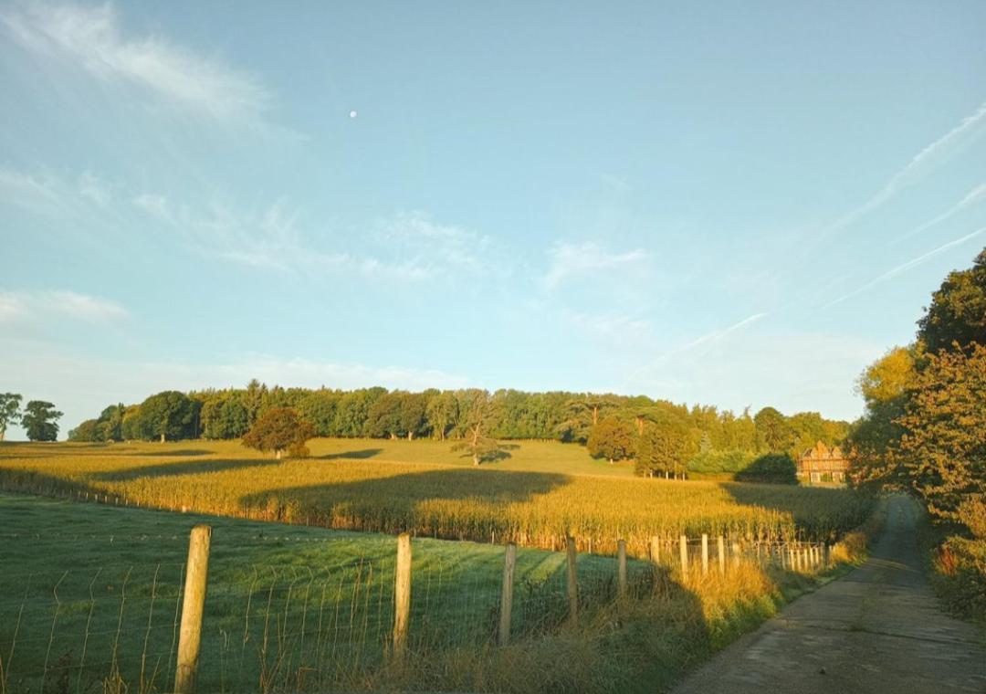The West Wing At Eriviat Hall Hot Tub Henllan  外观 照片