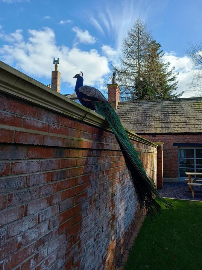The West Wing At Eriviat Hall Hot Tub Henllan  外观 照片